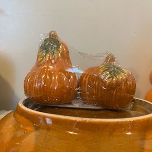 Handmade pumpkin salt and pepper shakers